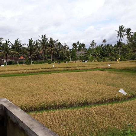 Umah Dangin Guest House Ubud Extérieur photo