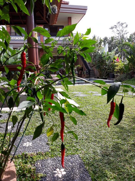 Umah Dangin Guest House Ubud Extérieur photo