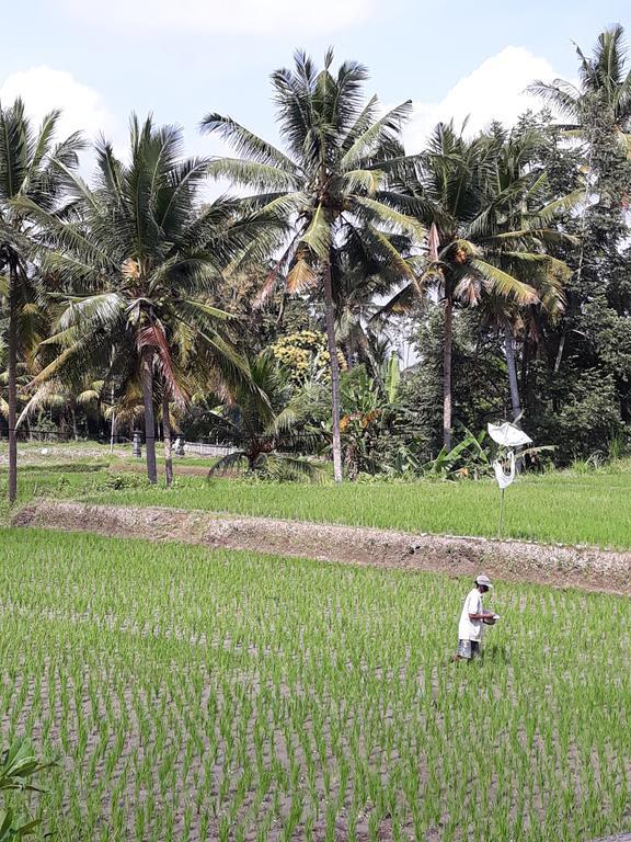 Umah Dangin Guest House Ubud Extérieur photo