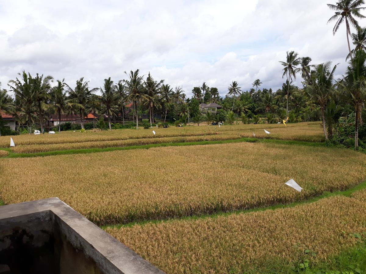 Umah Dangin Guest House Ubud Extérieur photo